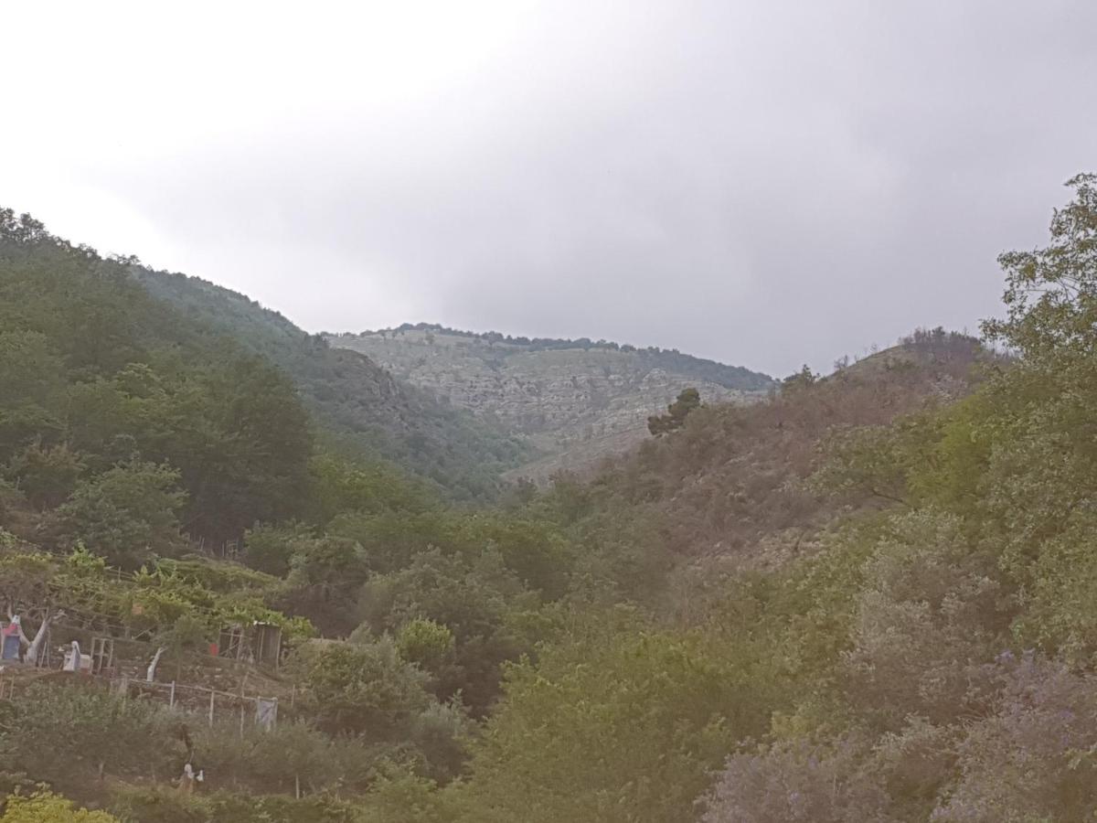 Arnasco Bed & Breakfast Ca' Di Vissai מראה חיצוני תמונה