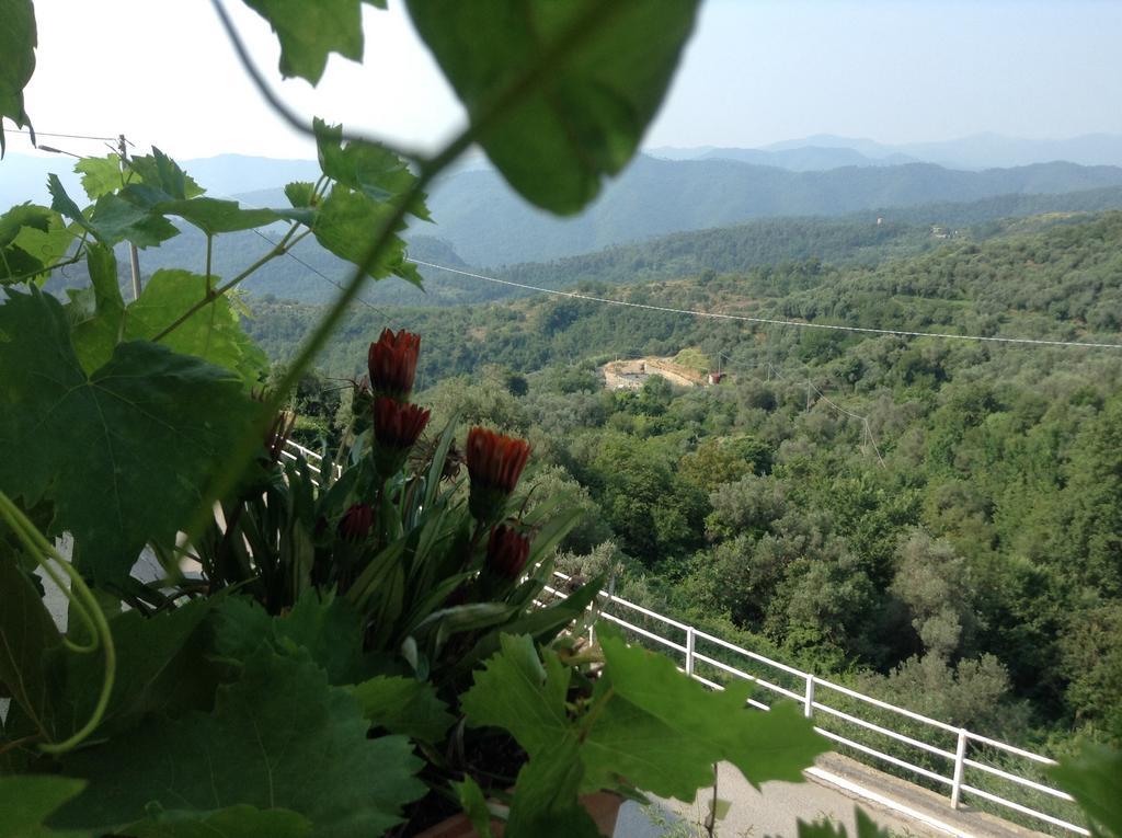 Arnasco Bed & Breakfast Ca' Di Vissai מראה חיצוני תמונה