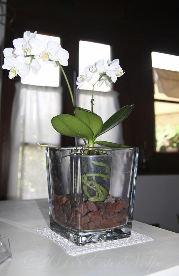 Arnasco Bed & Breakfast Ca' Di Vissai מראה חיצוני תמונה